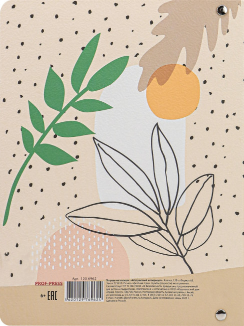 Тетрадь А5+ 120 клетка "Абстрактный натюрморт", на кольцах, Prof-Press/120-6962