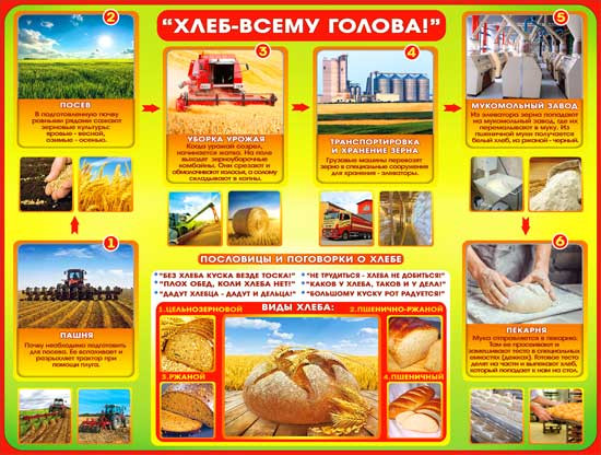 Плакат "Хлеб-всему голова" р2-206 (10)