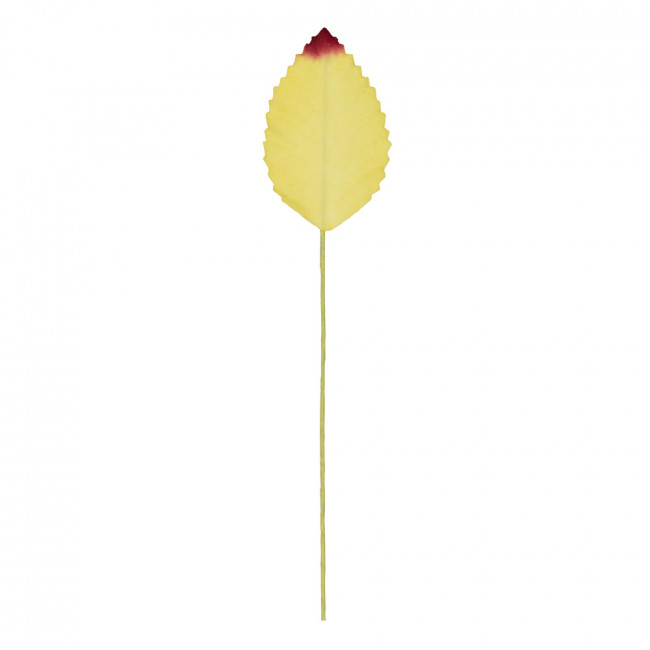 Декоративные элементы 3.7x2.3см "Листья", 12шт, красно-зеленый, Mr.Painter/PFL-02 03