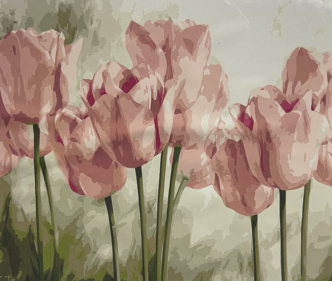 ХОЛСТ 40*50 (картина по номерам) на подрамнике. Asmar/AR-10258 YCGJ 32000