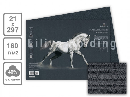 Бумага для пастели "Палаццо" 210х297 "Ground" (черный) 160г, 1лист (50)