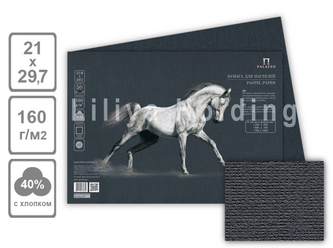 Бумага для пастели "Палаццо" 210х297 "Ground" (черный) 160г, 1лист (50)